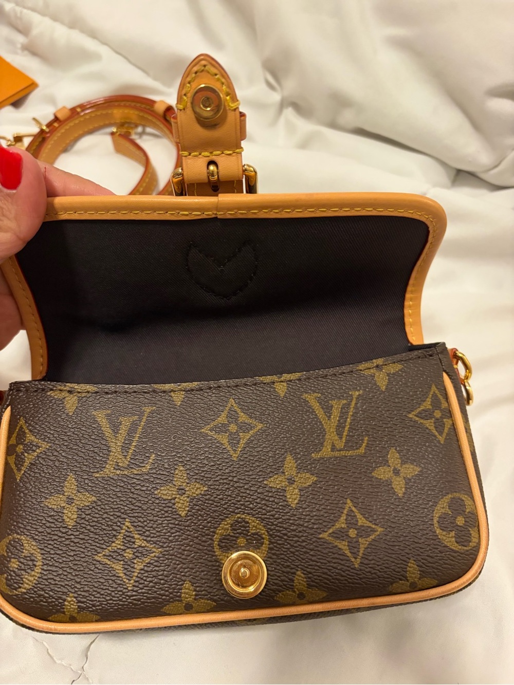 Louis Vuitton Monogram Nano Diane - Picture 3 of 13